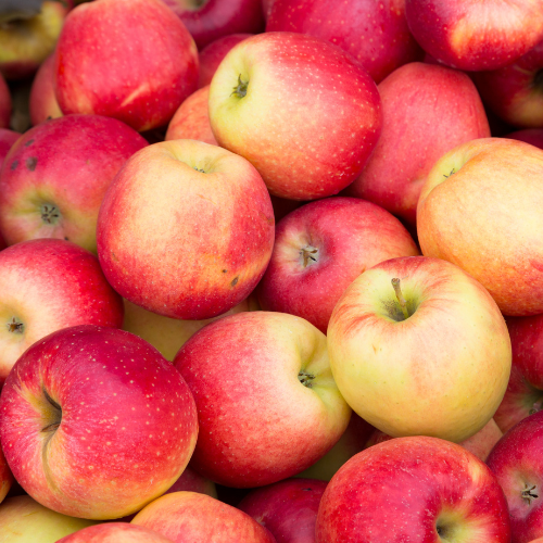 Menlispark Apples
