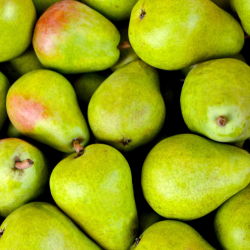 Menlispark Pears